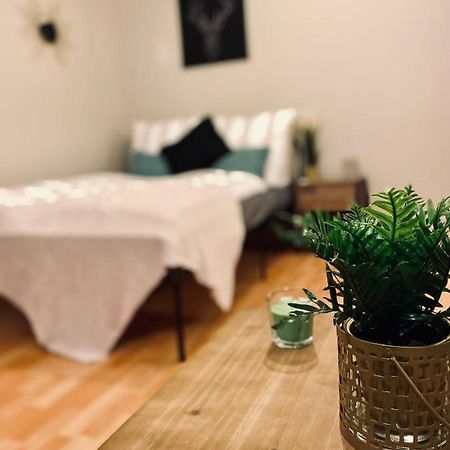 Saniertes Studio - Elisa - Mit Balkon, Wlan, Smart-Tv & Kueche In City-Naehe Erfurt Kültér fotó
