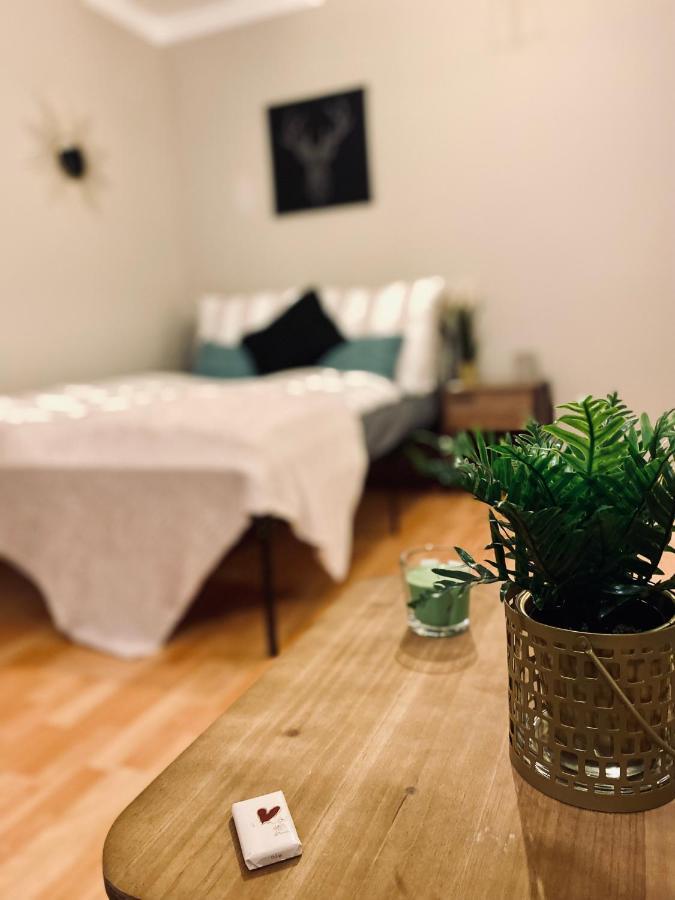 Saniertes Studio - Elisa - Mit Balkon, Wlan, Smart-Tv & Kueche In City-Naehe Erfurt Kültér fotó