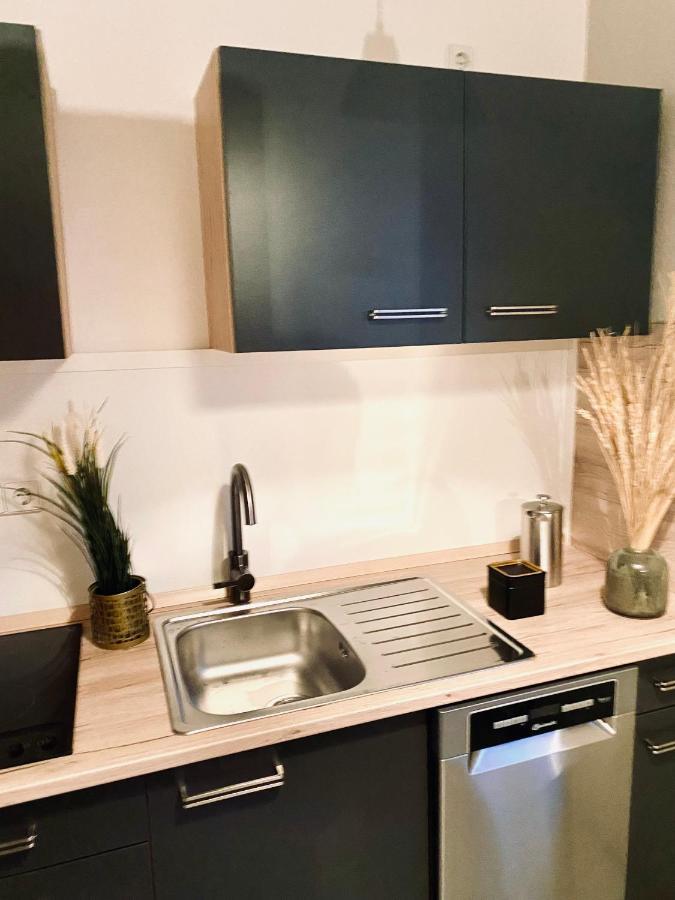 Saniertes Studio - Elisa - Mit Balkon, Wlan, Smart-Tv & Kueche In City-Naehe Erfurt Kültér fotó